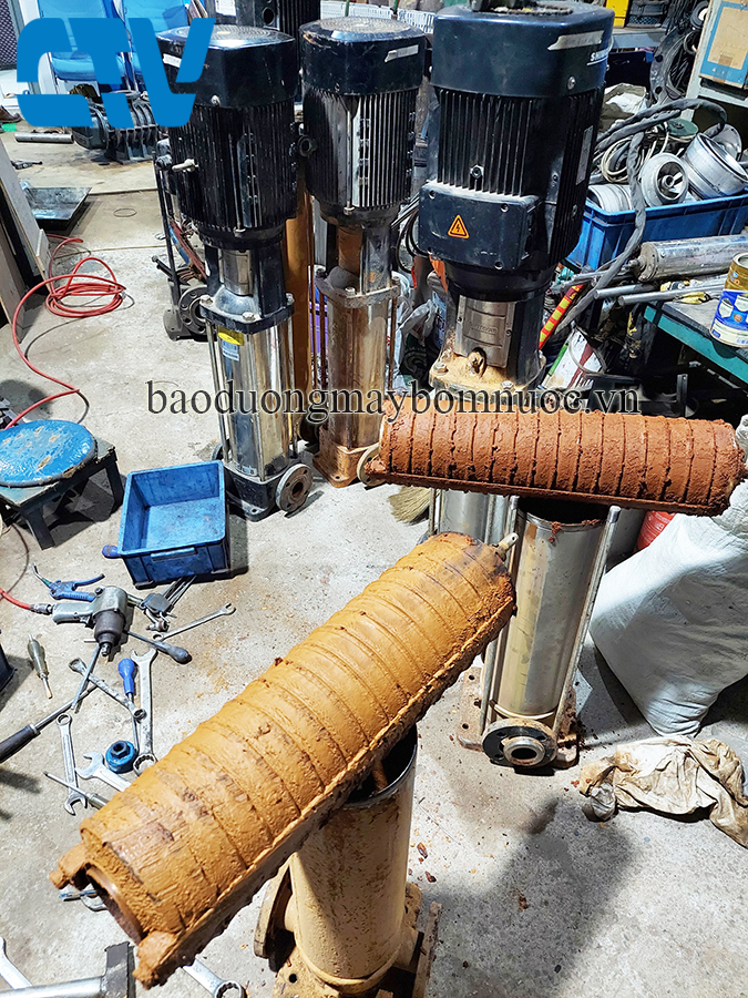 Cung cấp, thay thế ruột buồng bơm trục đứng đa tầng cánh chuyên nghiệp, uy tín nhất Hà Nội