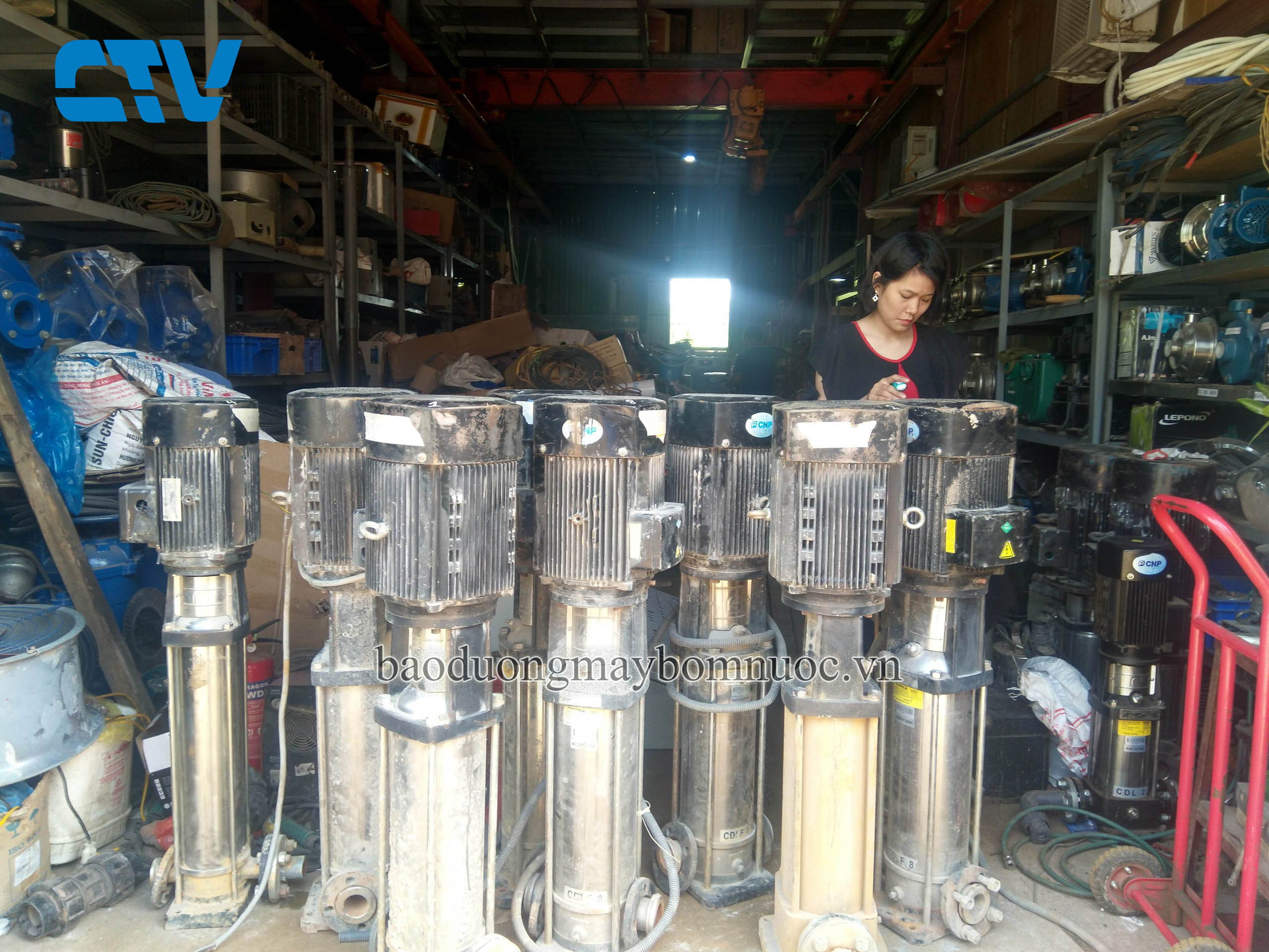 Sửa chữa, bảo dưỡng máy bơm trục đứng