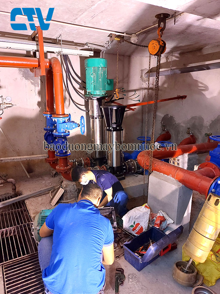 Sửa bơm trục đứng bị hỏng ruột buồng - Khắc phục nhanh, chạy êm như mới