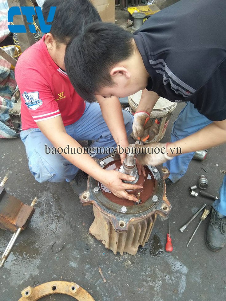 Thay phớt máy bơm nước thải Tsurumi