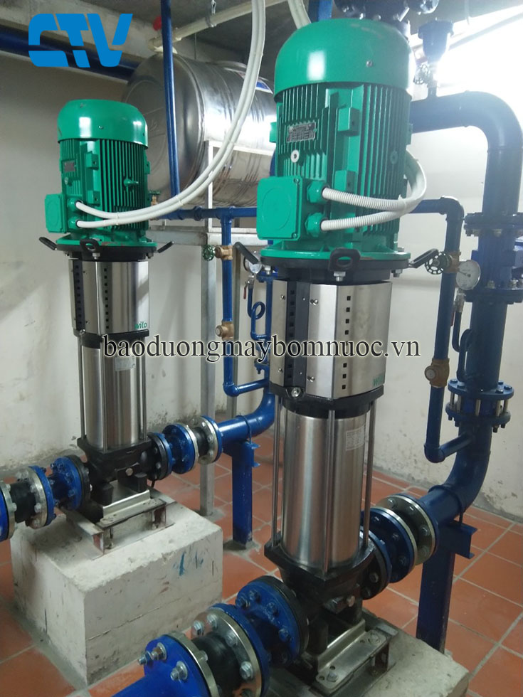 Bảo dưỡng hệ thống máy bơm nước trục đứng Wilo uy tín, chất lượng