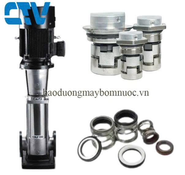 Phớt  Máy Bơm Trục Đứng CNP CDLF 65 - 7