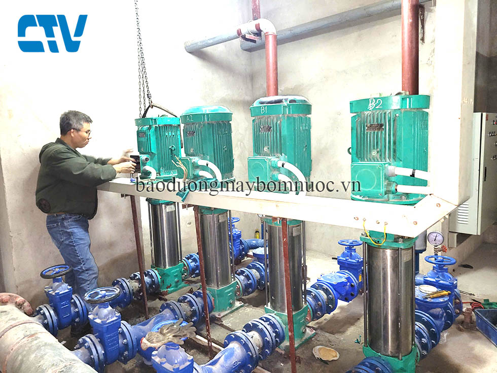 Cường Thịnh Vương nhận sửa chữa, thay thế bộ ruột buồng cánh máy bơm trục đứng Wilo uy tín