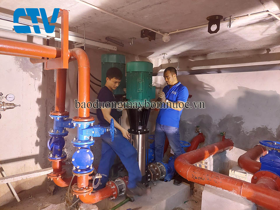 Máy bơm trục đứng Wilo bị hỏng? Nguyên nhân, dấu hiệu và cách khắc phục hiệu quả